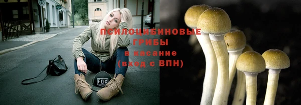 прущие грибы Карталы