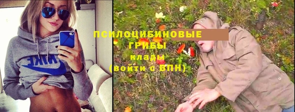 мет Абаза