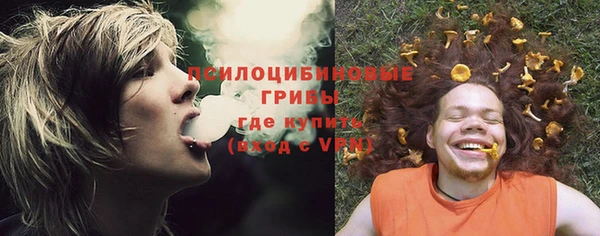 spice Алексеевка