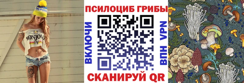 Псилоцибиновые грибы мицелий  Трубчевск 